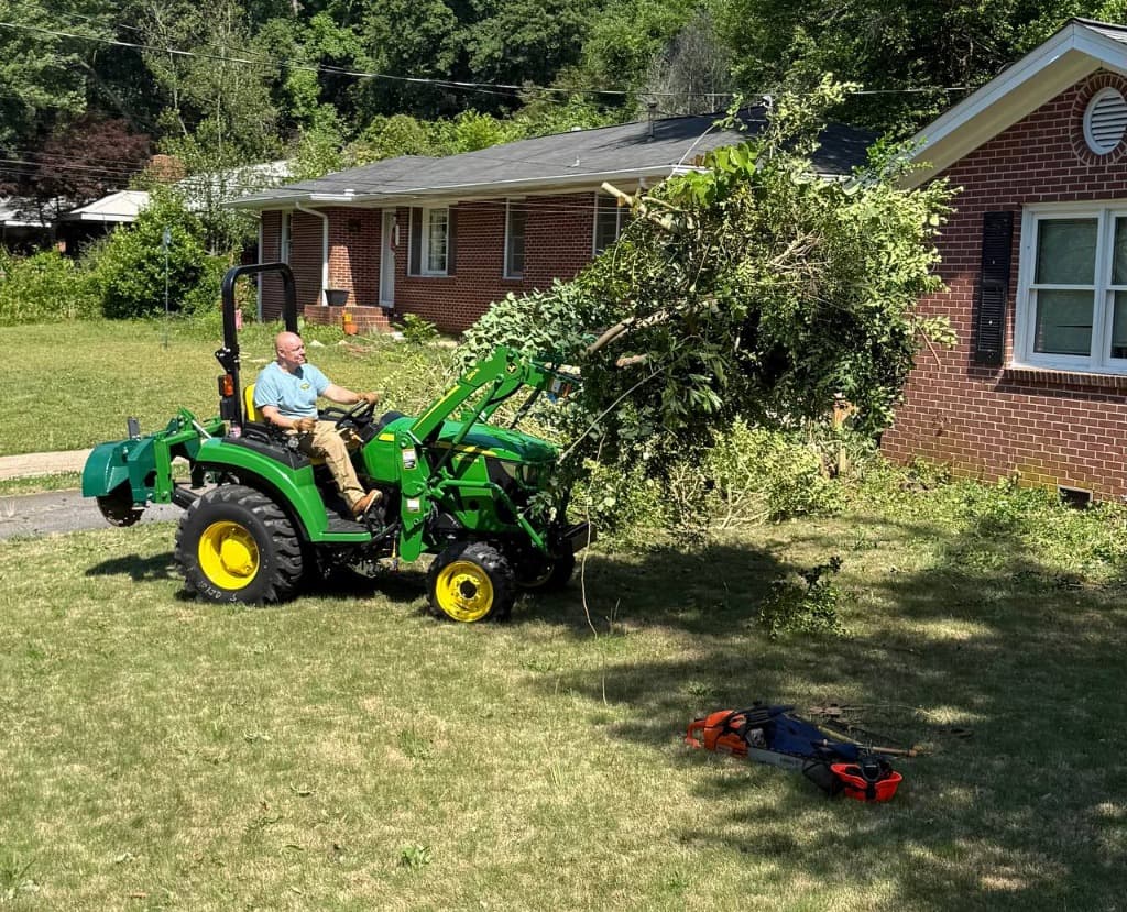 Shrub & Bush Removal