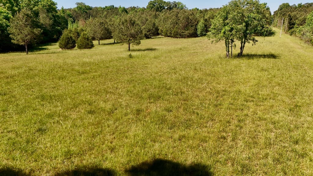Property Before